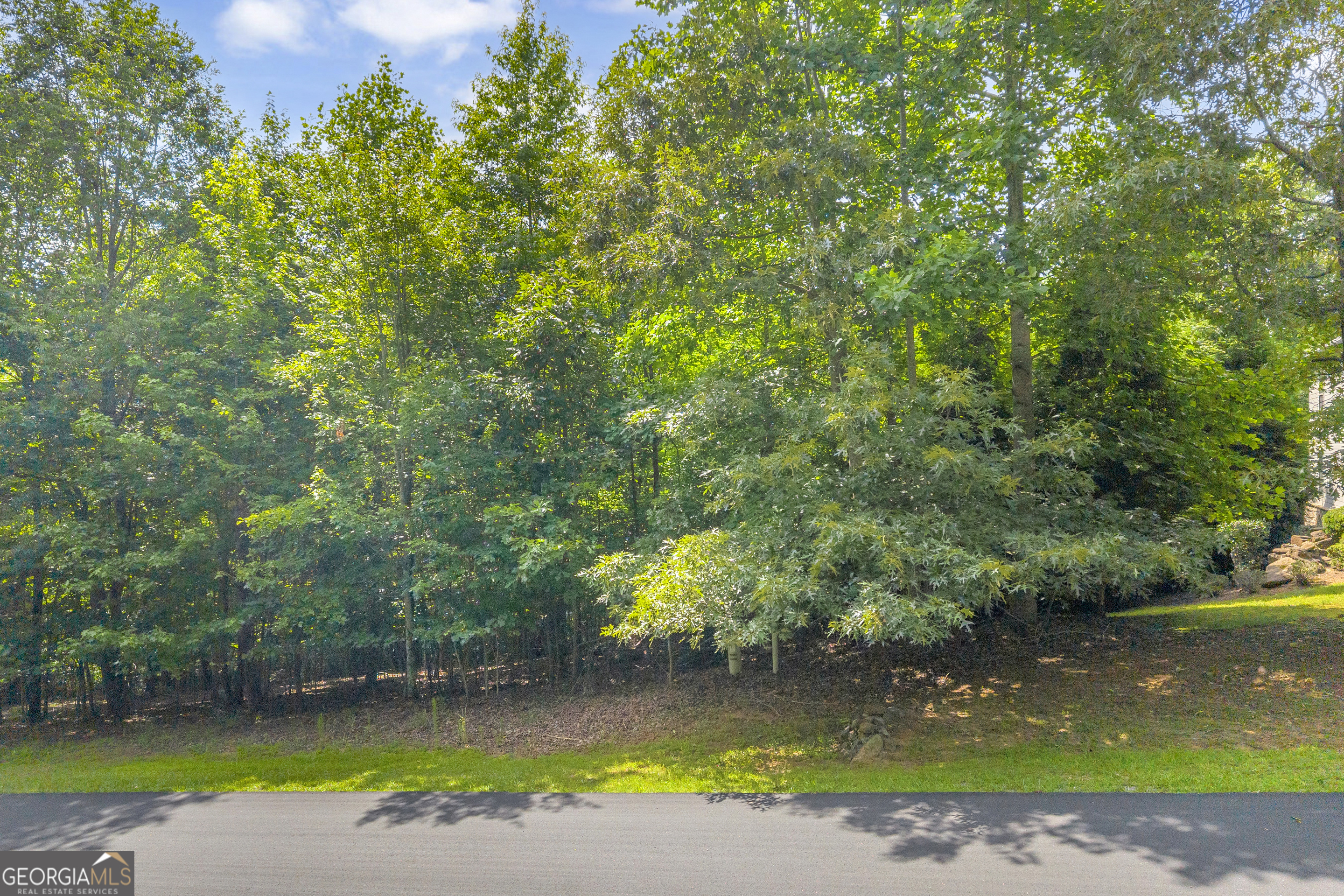 25 Forked Leaf Road Cleveland, GA 30528 - Photo 14 of 48