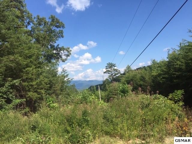 264 Bogard Crk Road Cosby, TN 37722 - Photo 6 of 13
