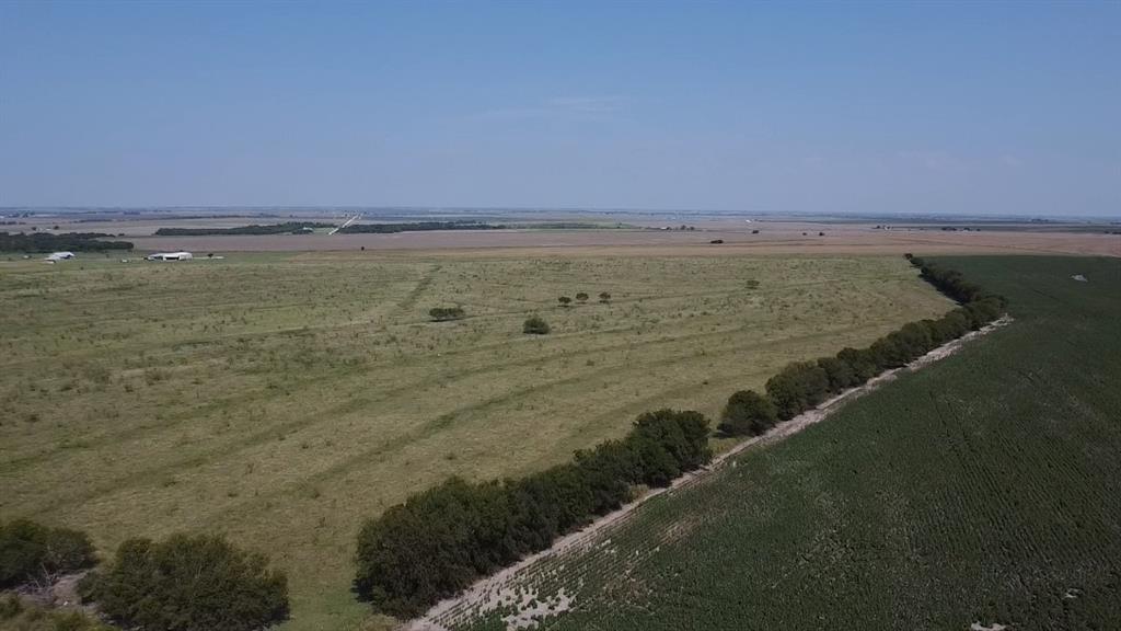 2778 FM 339 Mount Calm, TX 76673 - Photo 7 of 12
