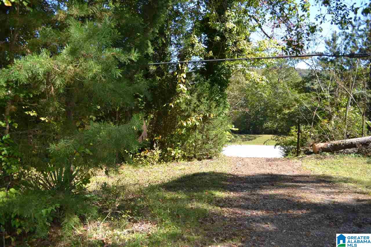 17871 Highway 75, Unit 5 7 ACRES Remlap, AL 35133 - Photo 21 of 23