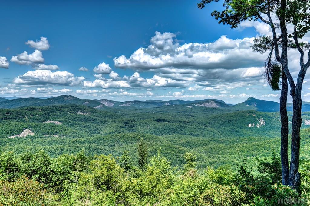 39 Bear Shadow Ridge Highlands, NC 28741 - Photo 41 of 74 Gallery Image 41
