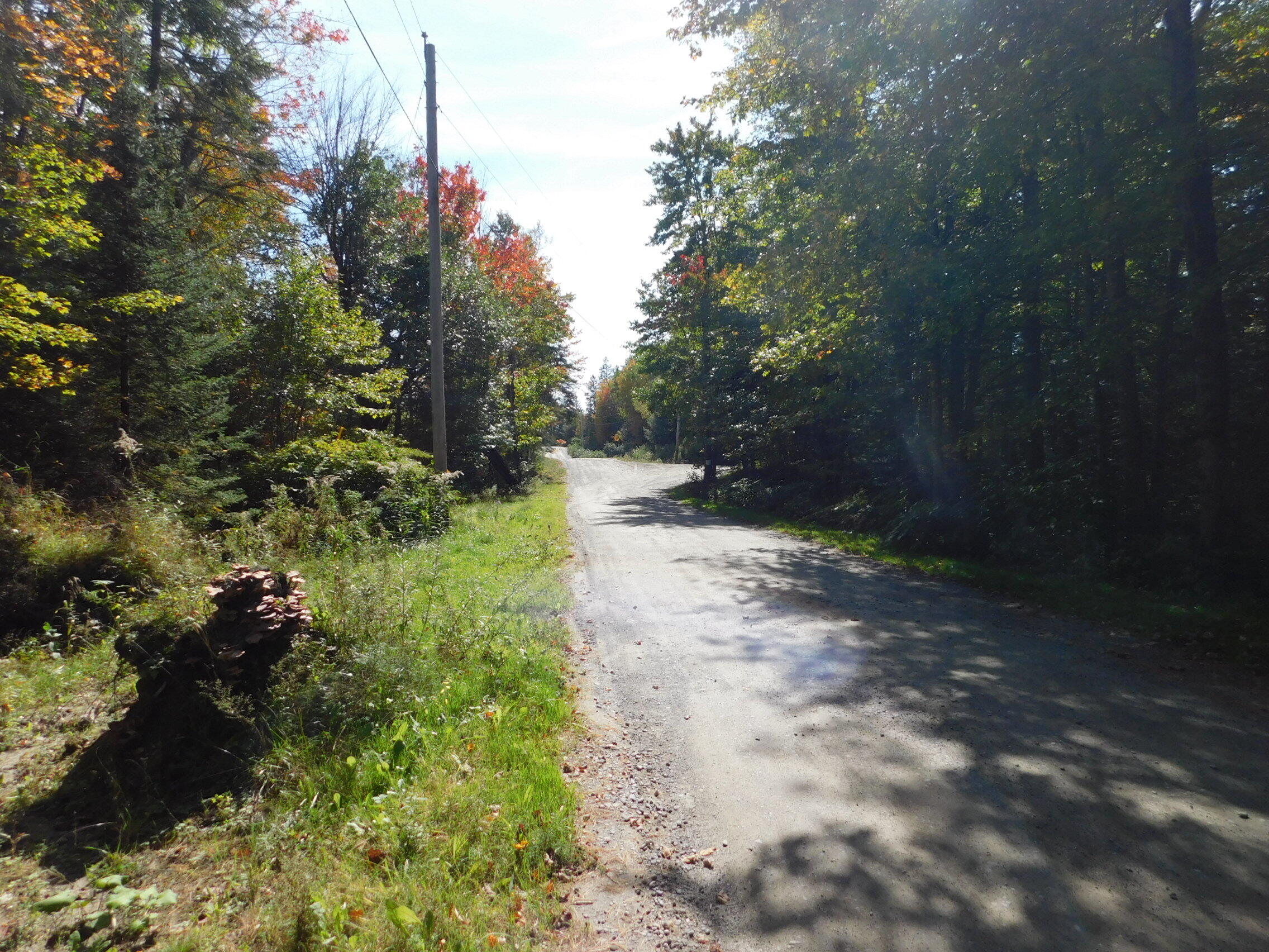 0 Steam Mill Road, Unit LOT 1 Cornville, ME 04976 - Photo 1 of 11 DSCN1530