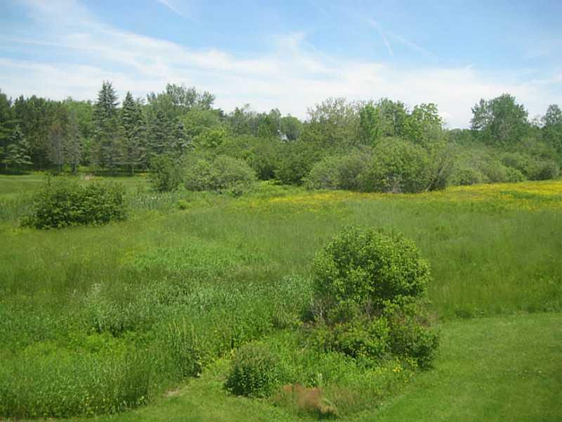 Yard/Garden.