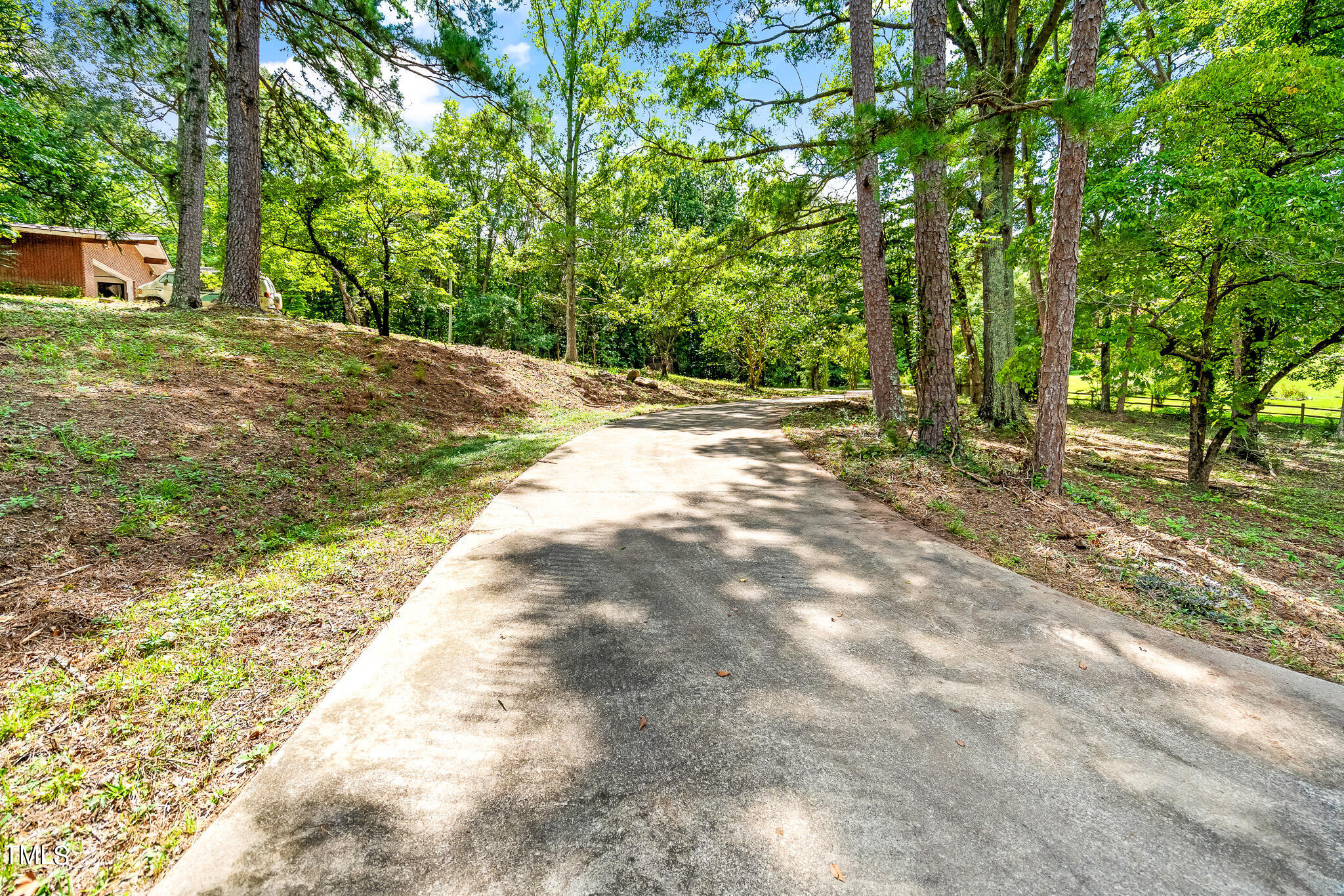 1875 Wilson Road Bennett, NC 27208 - Photo 3 of 70 a view of a yard with plants and trees