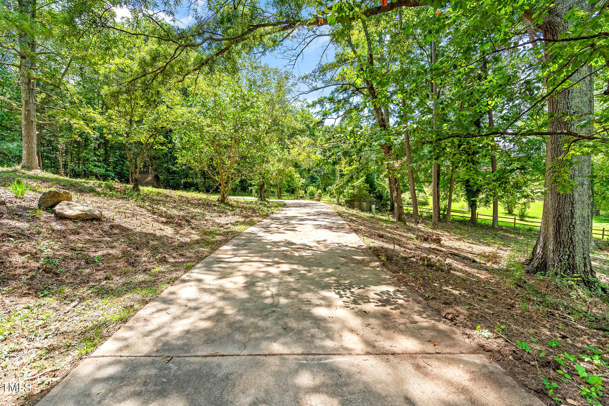 1875 Wilson Road Bennett, NC 27208 - Photo 4 of 70 a view of a yard with plants and trees