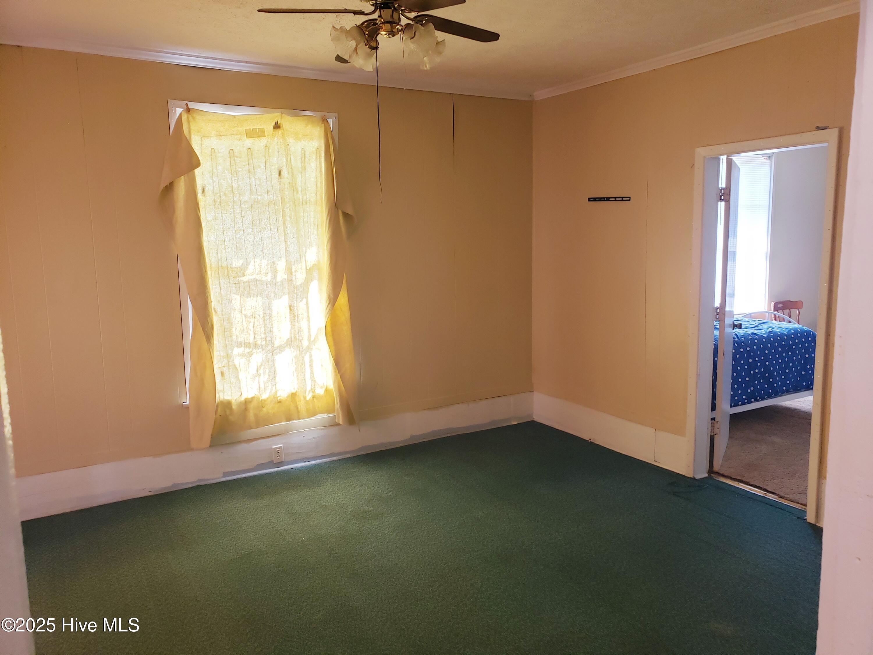 809 Conway Road Fair Bluff, NC 28439 - Photo 18 of 46 20250501_101118