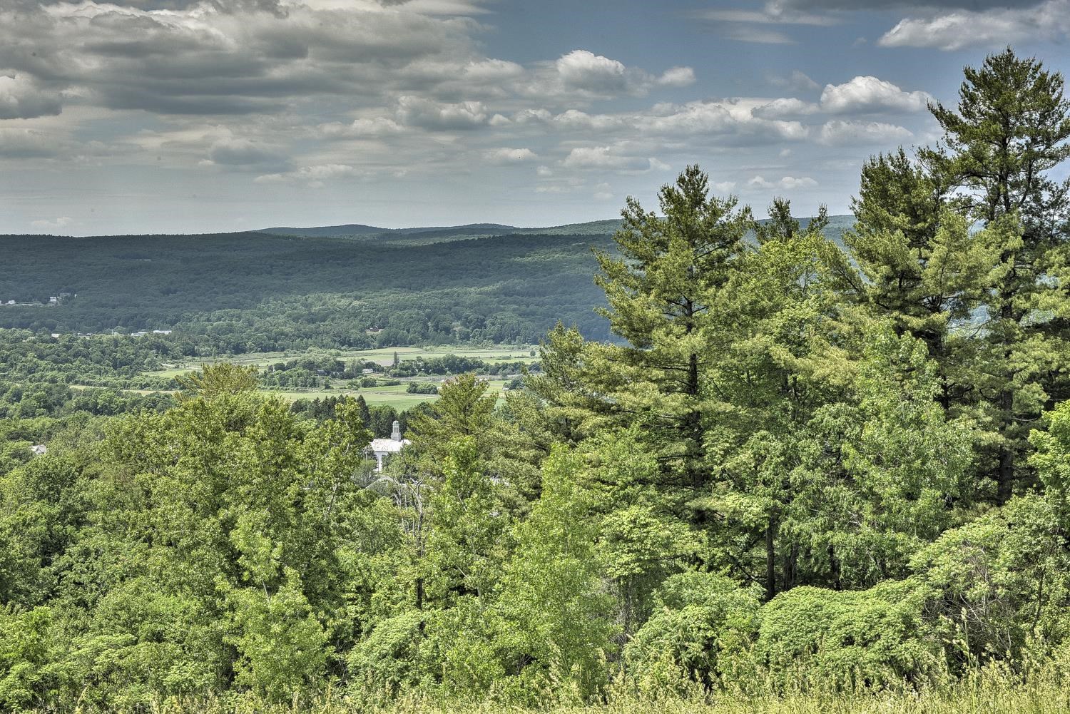 0 North Road, Unit LOT 2 Walpole, NH 03608 - Photo 8 of 22