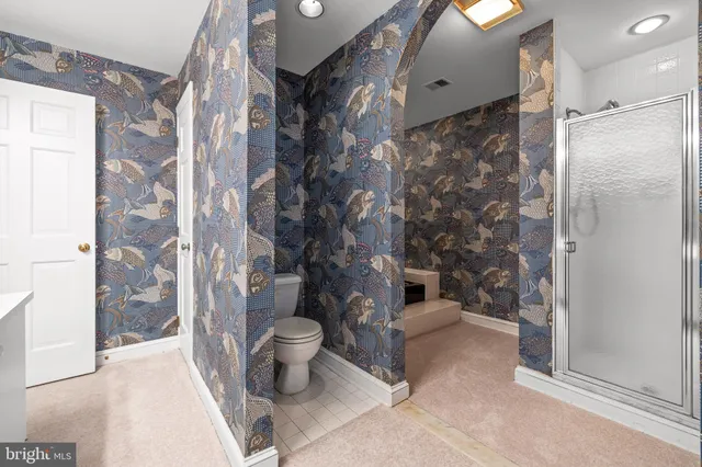 a bathroom with a shower and a toilet