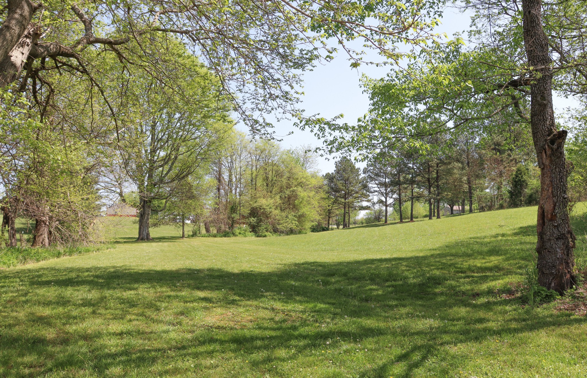 4778 Somerville Road Cross Plains, TN 37049 - Photo 40 of 44 a view of a trees with a big yard