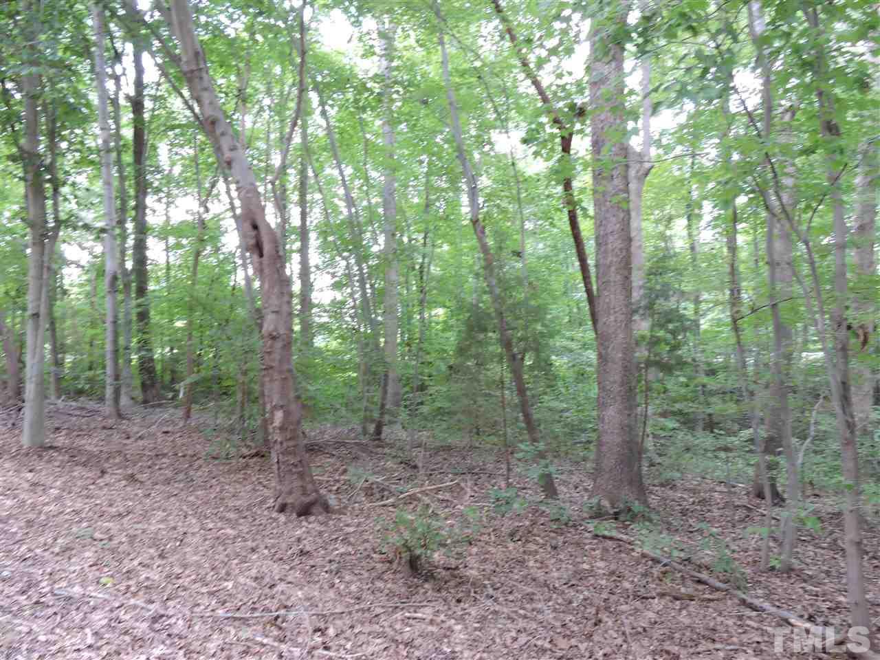 Lot 9 Virgilina Road Roxboro, NC 27574 - Photo 4 of 5