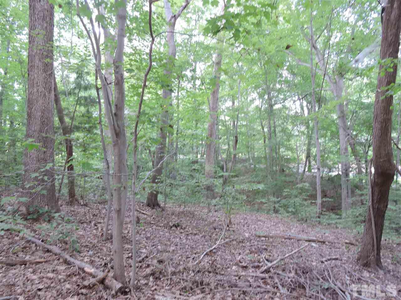 Lot 9 Virgilina Road Roxboro, NC 27574 - Photo 5 of 5