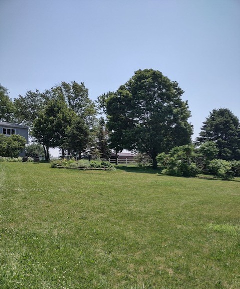 1522 East 7th Road Lostant, IL 61334 - Photo 25 of 44
