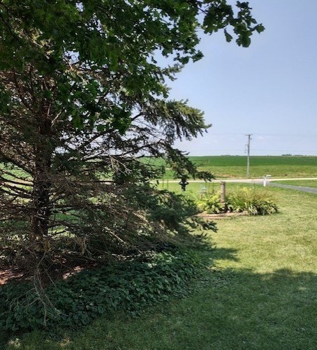 1522 East 7th Road Lostant, IL 61334 - Photo 27 of 44