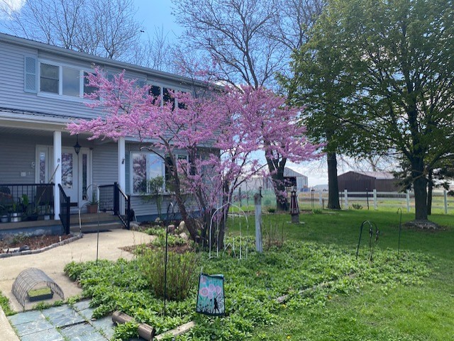 1522 East 7th Road Lostant, IL 61334 - Photo 3 of 44