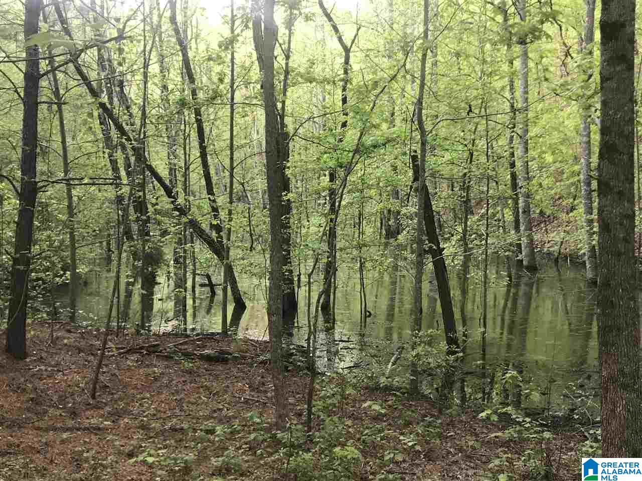 626 Smith Road Oneonta, AL 35121 - Photo 36 of 47