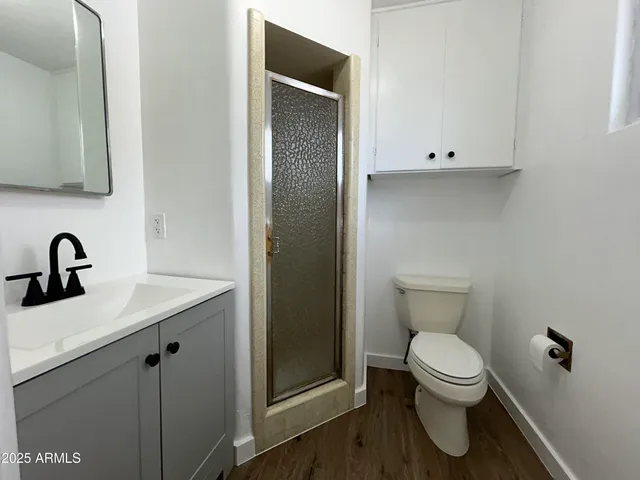 a bathroom with a sink and a shower