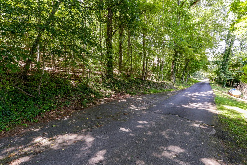 Lot 6 Kilpatrick Point Hayesville, NC 28904 - Photo 3 of 4