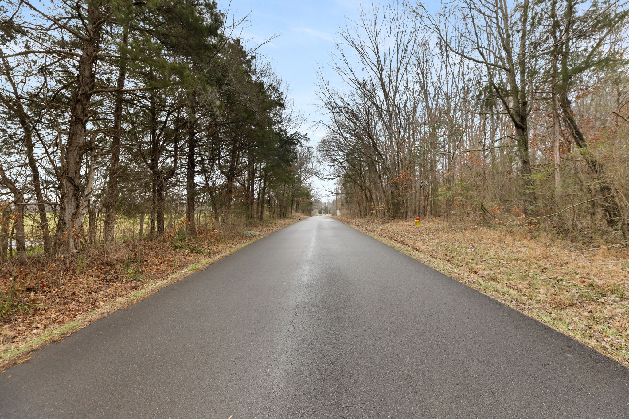 0 Gray Road White Bluff, TN 37187 - Photo 5 of 8 a view of outdoor space and yard