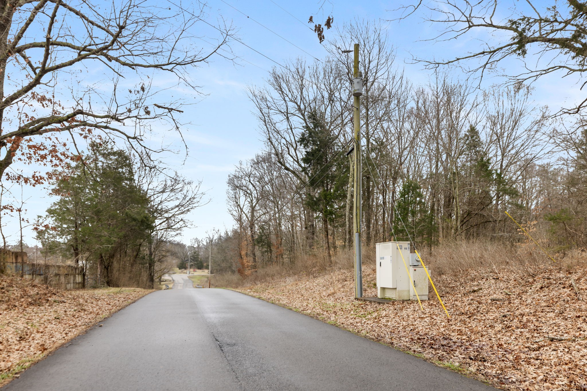 0 Gray Road White Bluff, TN 37187 - Photo 6 of 8 a backyard of a house with lots of green space