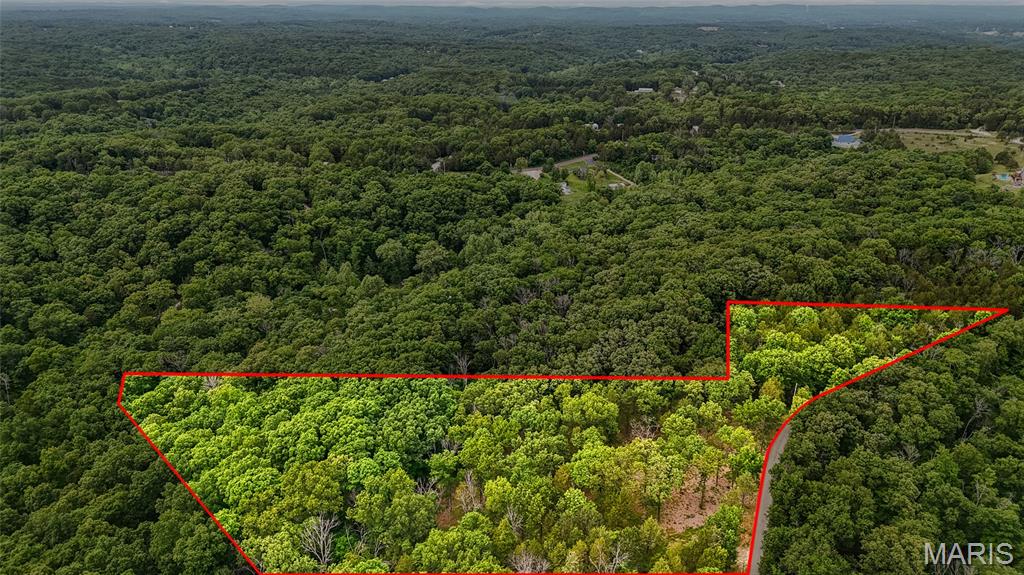 299 Whitetail Ridge Dittmer, MO 63023 - Photo 3 of 19