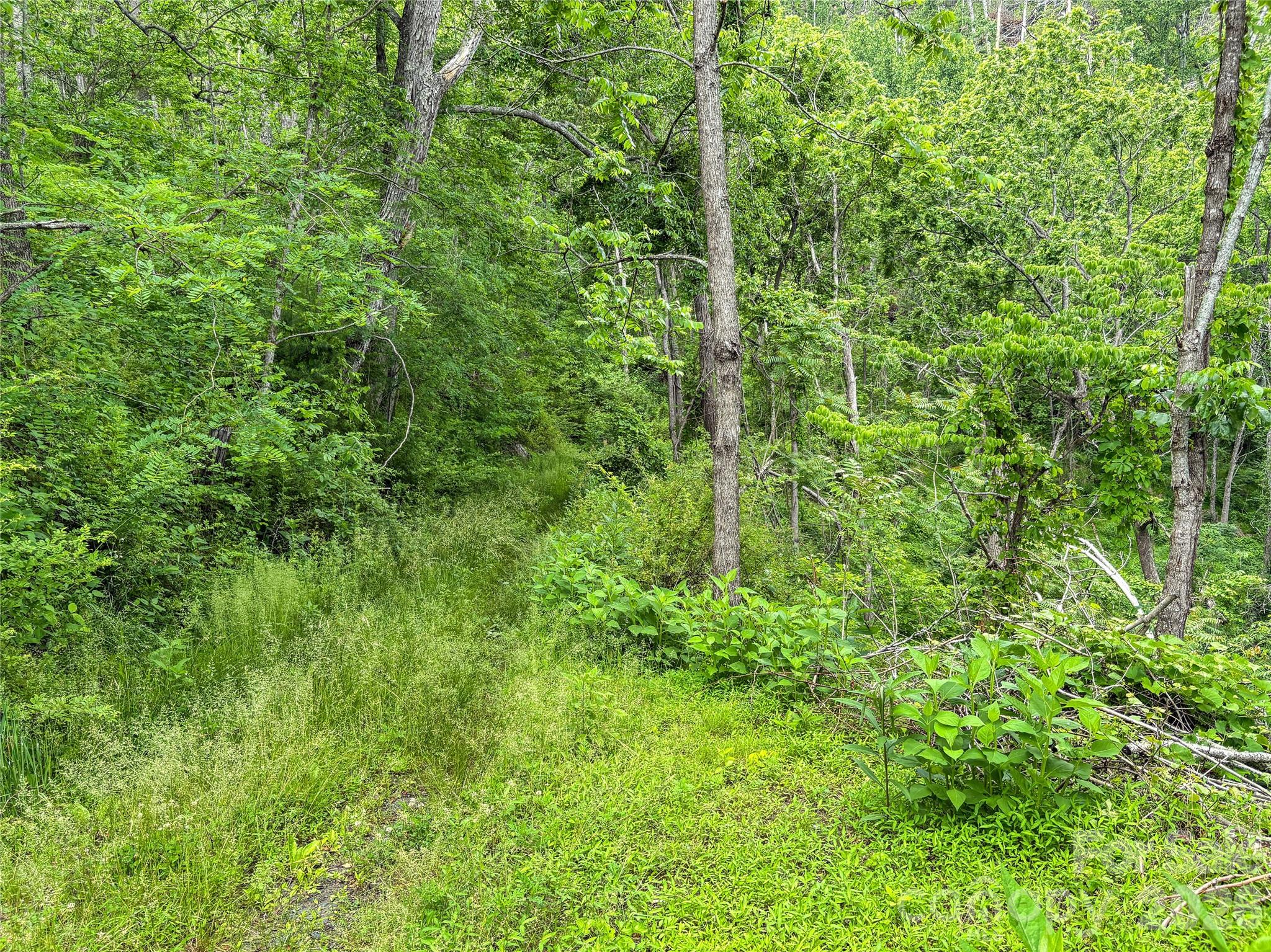 000 Bee Branch Road, Unit 14AC Bakersville, NC 28705 - Photo 16 of 19