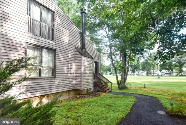 a view of a backyard with large trees