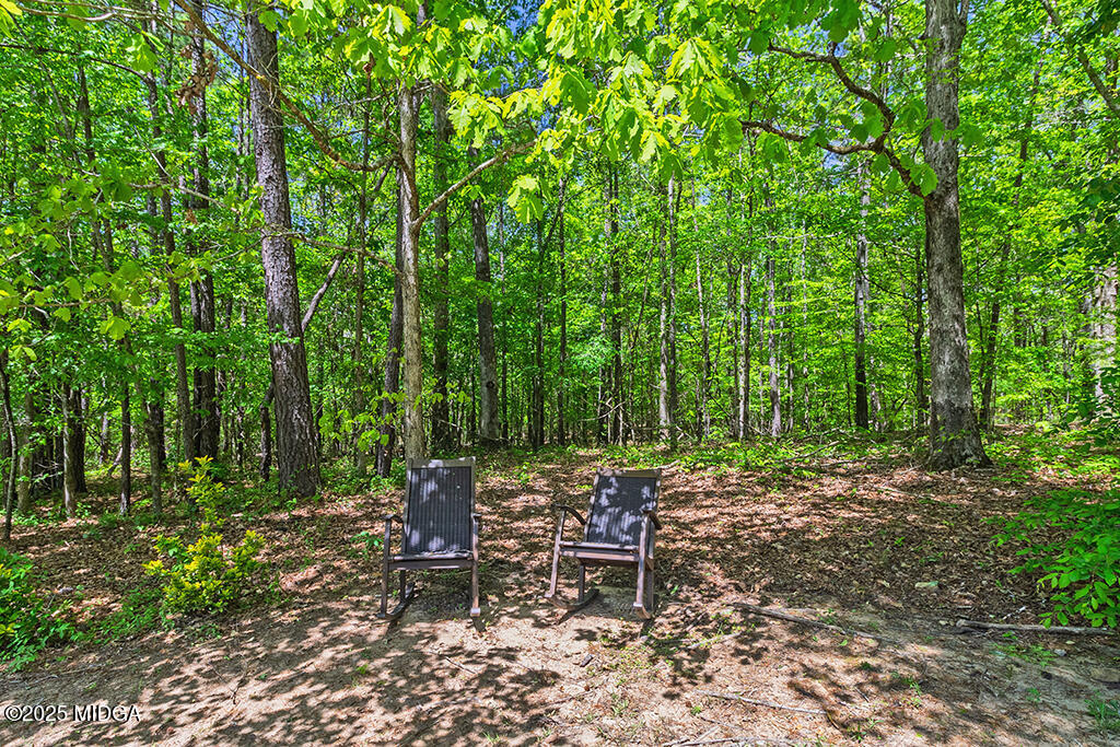 1122 Irongate Macon, GA 31220 - Photo 79 of 90 1122-Irongate-Backyard-01