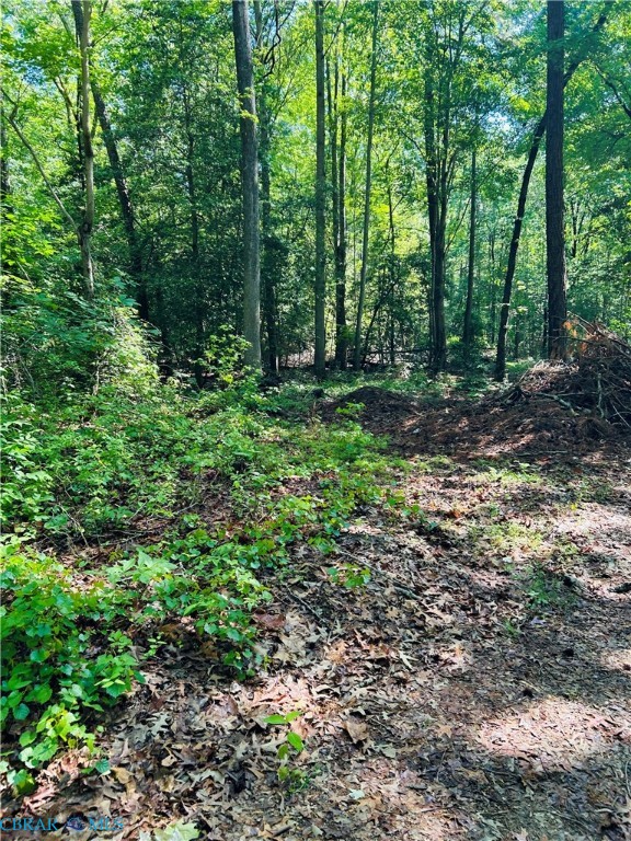 1169 Harris Road Road Kilmarnock, VA 22482 - Photo 6 of 9