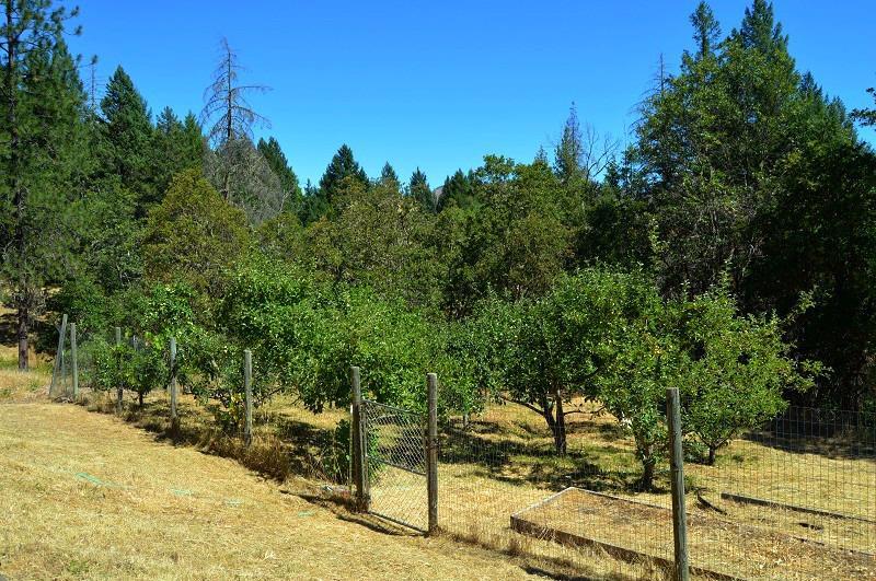 3952 Little Applegate Road Jacksonville, OR 97530 - Photo 21 of 32 Additional Photo