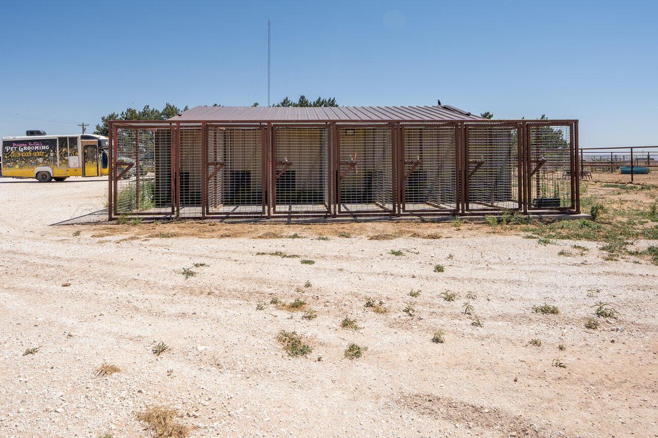 693 County Road 24 Muleshoe, TX 79347 - Photo 65 of 98 Kennel