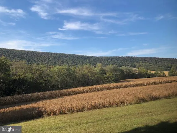 a view of a lake with a yard