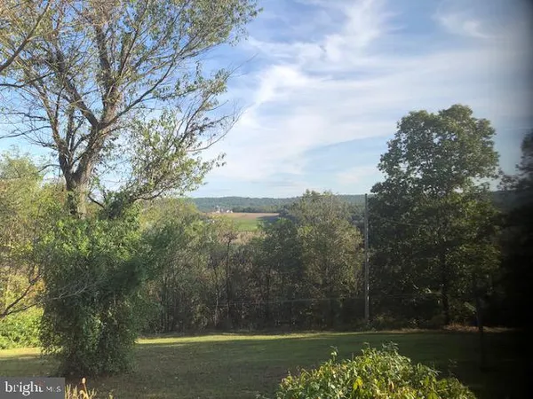 a view of a yard