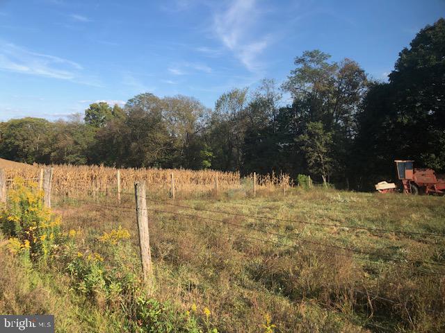 159 Juniata Parkway East Newport, PA 17074 - Photo 25 of 37 a view of outdoor space and yard
