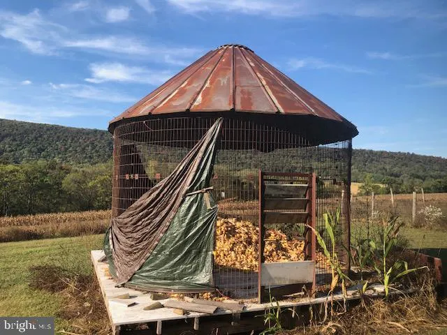 a black and white umbrella