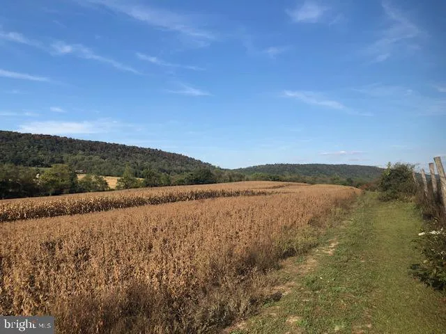 a view of lake and mountain
