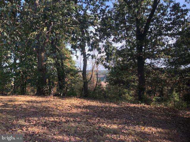 159 Juniata Parkway East Newport, PA 17074 - Photo 37 of 37 a view of road covered with trees