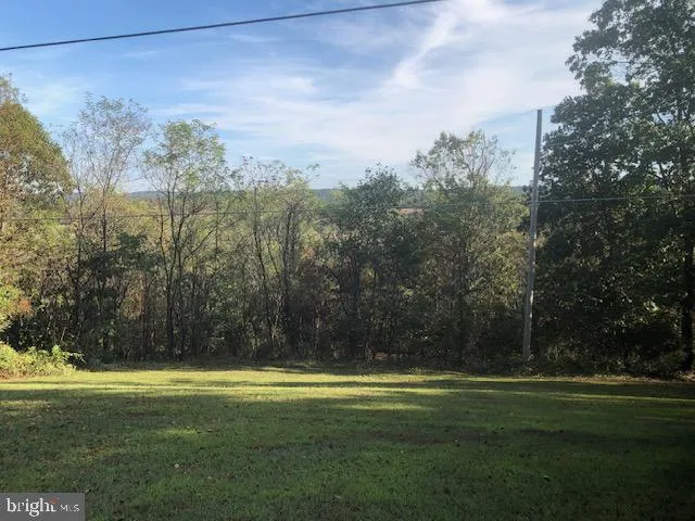 a view of a field of grass and trees