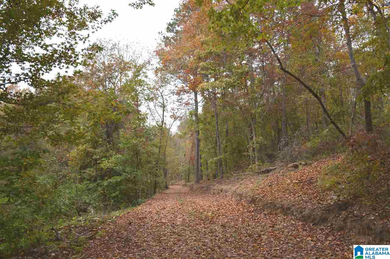 0 Jackson Loop Road, Unit 1 Ragland, AL 35131 - Photo 15 of 27