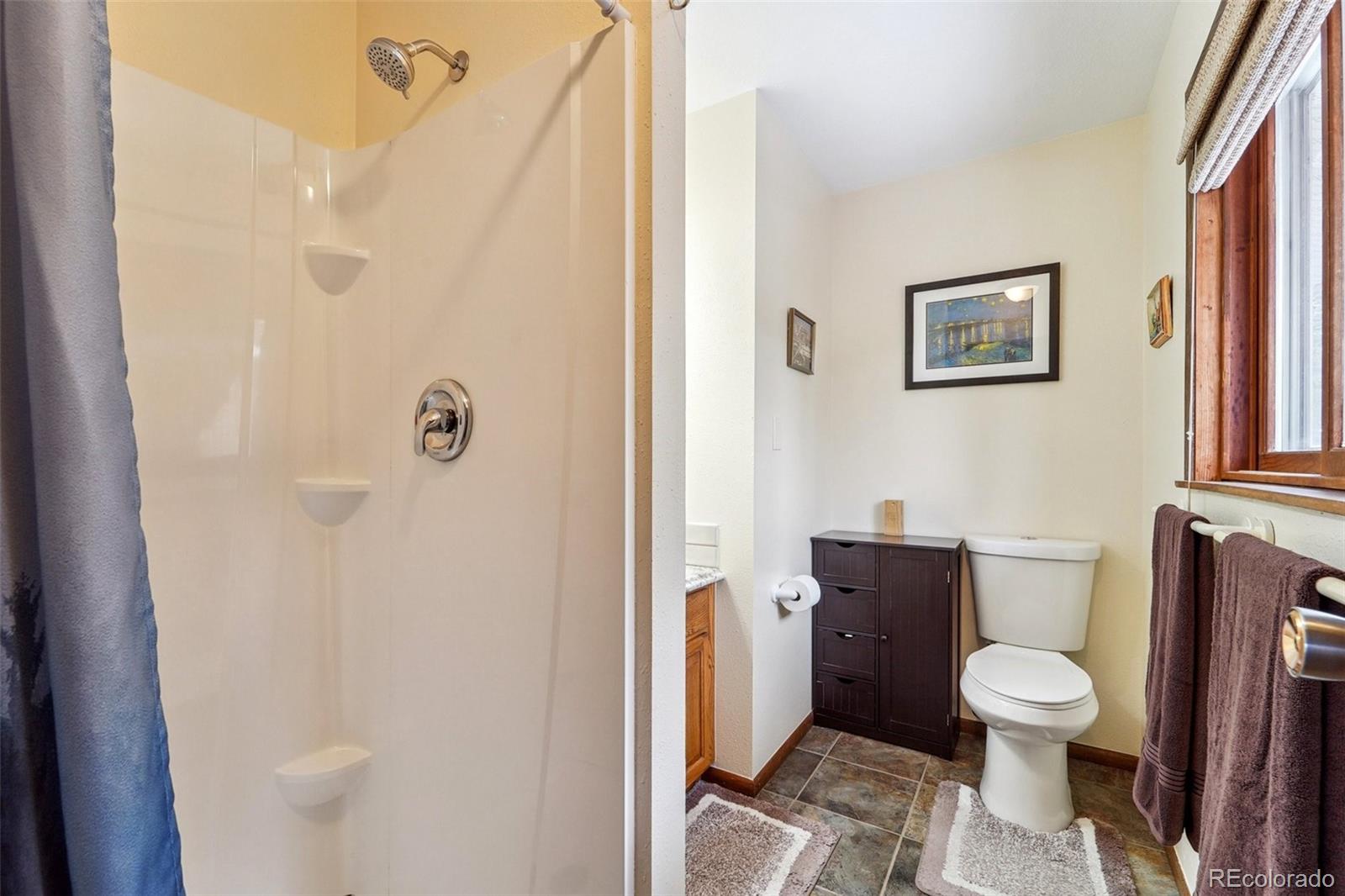 246 Tapadero Road Bailey, CO 80421 - Photo 23 of 50 a bathroom with a toilet and a shower
