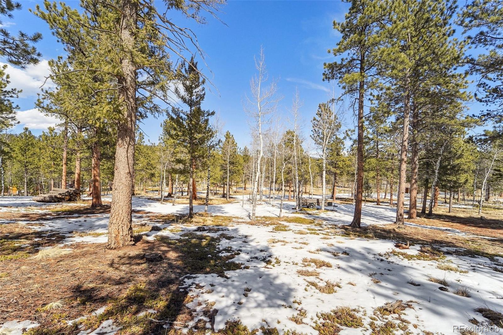 246 Tapadero Road Bailey, CO 80421 - Photo 36 of 50 a view of road with trees