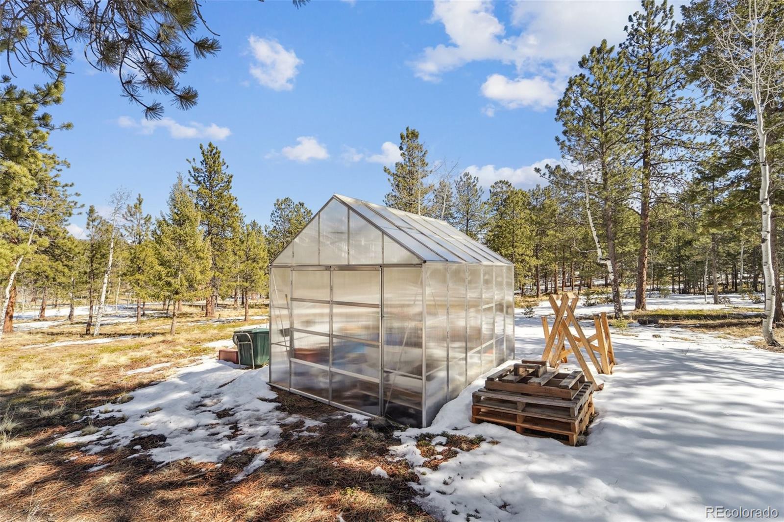246 Tapadero Road Bailey, CO 80421 - Photo 39 of 50 a backyard of a house with barbeque oven and outdoor seating