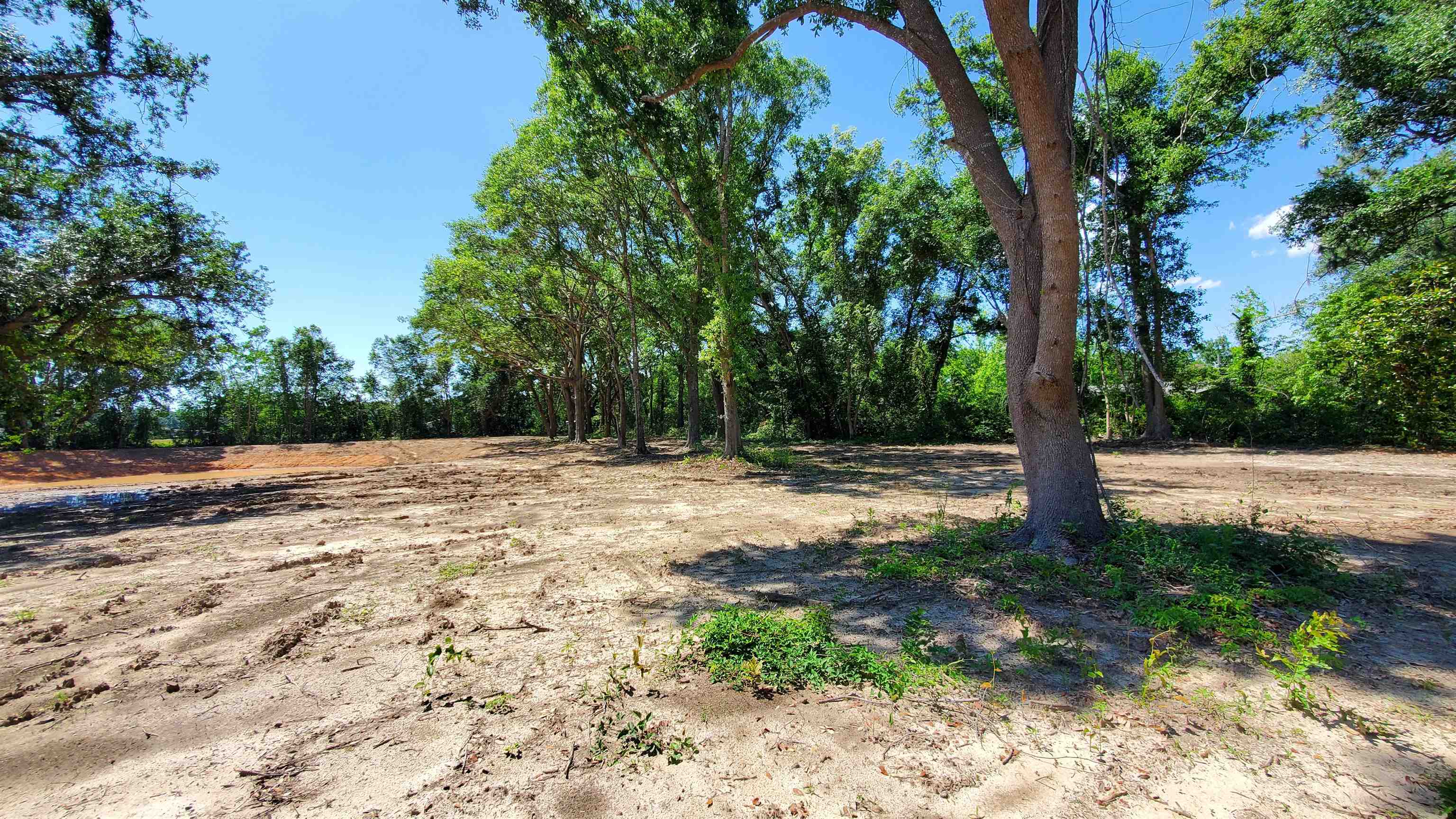 19800 Chestnut Drive Foley, AL 36535 - Photo 3 of 7