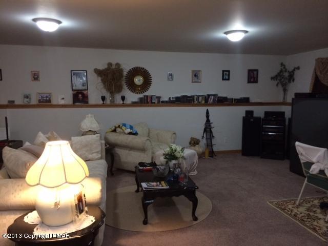 65 Buckhill Road Albrightsville, PA 18210 - Photo 8 of 13 Buckhill Rd family Lower level