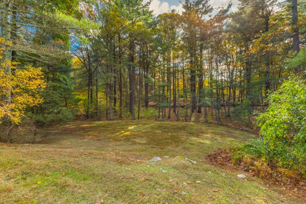 324 Country Way Needham, MA 02492 - Photo 26 of 30 Gallery Image 26