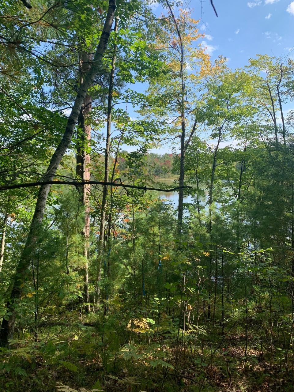 Off Of Bennet Road Amberg, WI 54102 - Photo 9 of 15 Gallery Image 9
