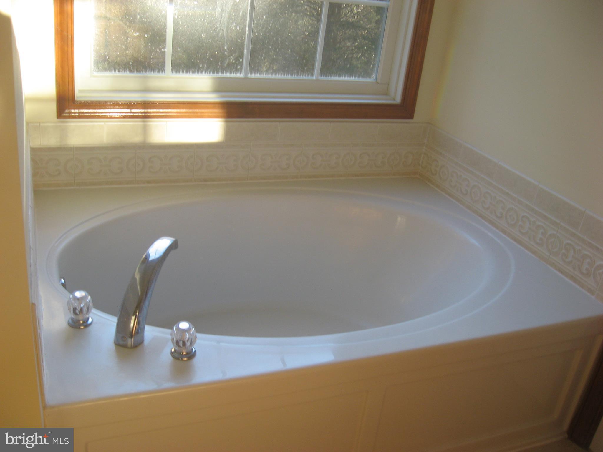 127 Melitota Drive Rising Sun, MD 21911 - Photo 19 of 27 Bath (Master)