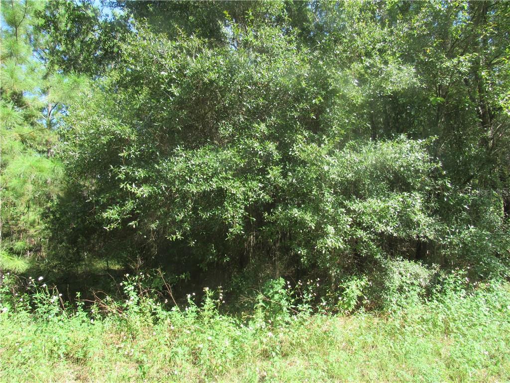 7 Southwest 197th Court Road Dunnellon, FL 34432 - Photo 1 of 1