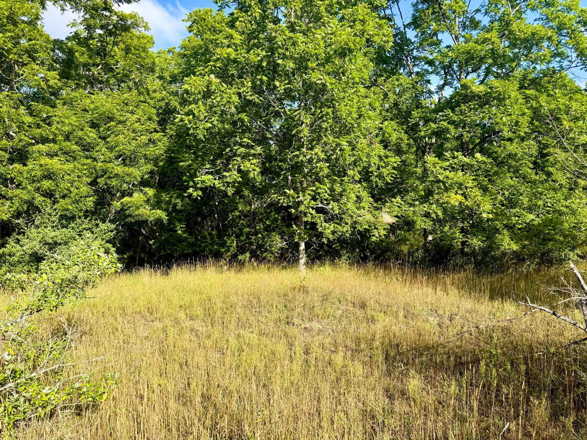 1 East Darga Road Cedar, MI 49621 - Photo 15 of 22 1949892-6bf96955-b850-4cc3-ab66-b55ae8646b54.JPG