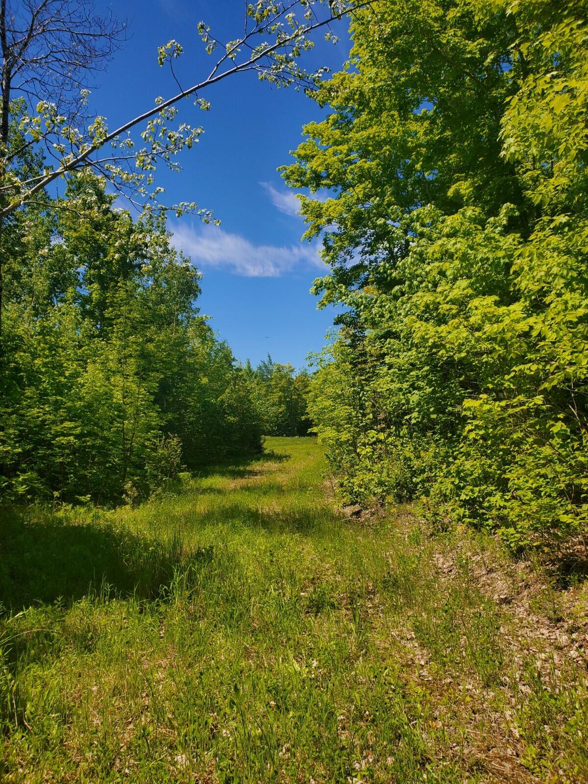 0 County Road New Limerick, ME 04761 - Photo 22 of 28 20220601_113448