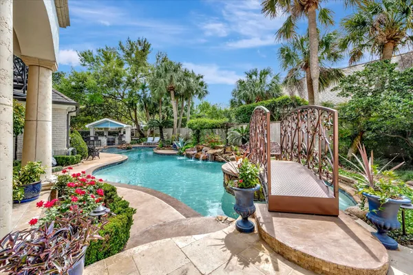 a view of a backyard with potted plants and large tree